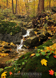 Lower Scenic Cascade